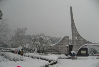 瑞雪兆丰年 公园雪景